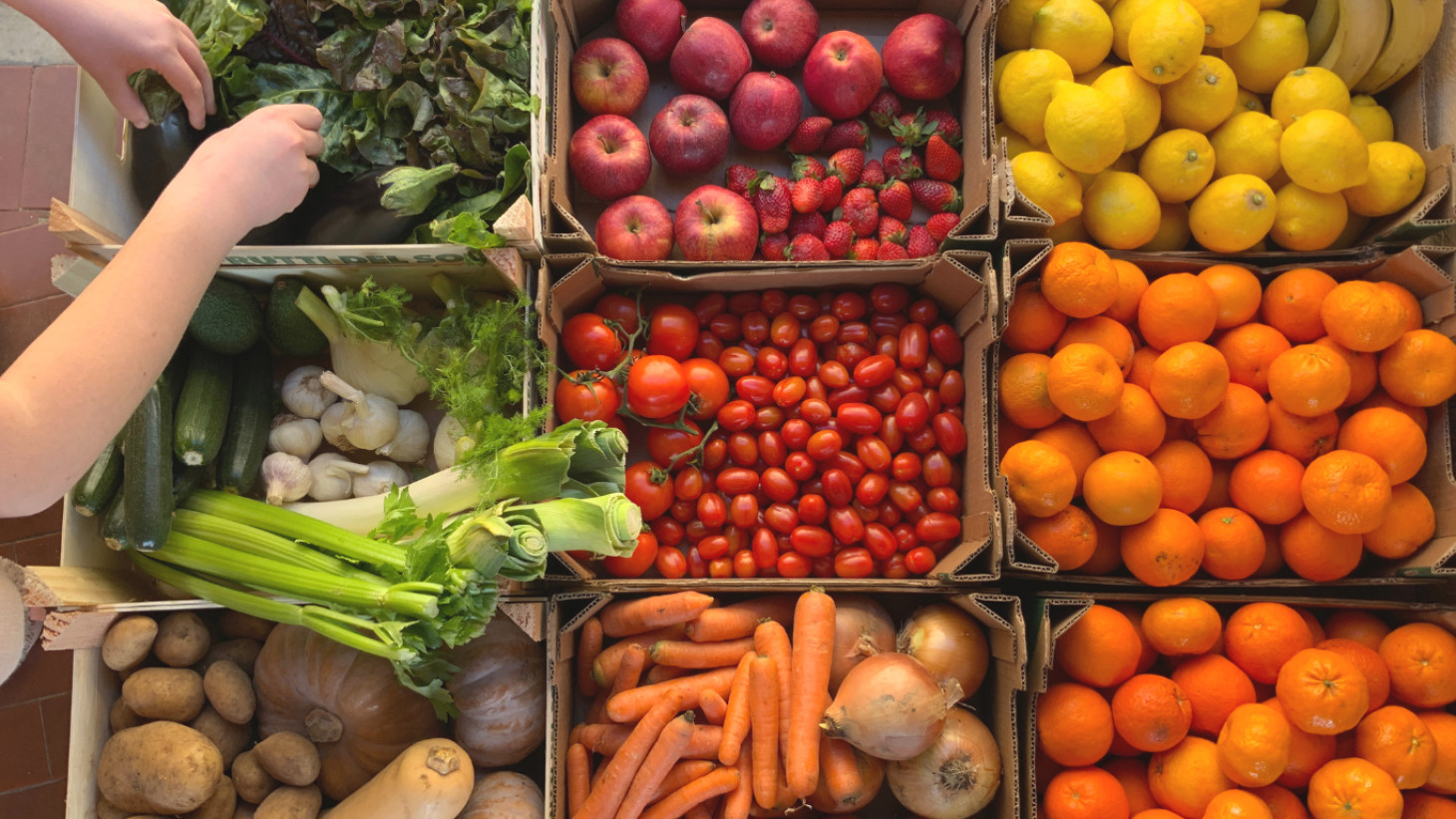 A importância e comer frutas e legumes da época